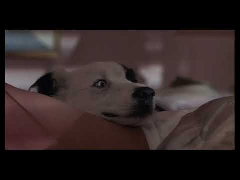 Down and Out In Beverly Hills - "You Belong To Me" - Bette Midler (Volume Louder Than Usual))