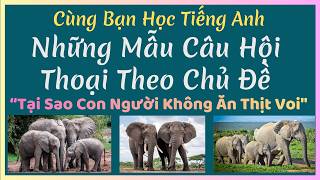 05/09/26 - 🎯 Luyện Nghe Tiếng Anh Giao Tiếp - Nhiều Giọng Đọc | Tại Sao Con Người Không Ăn Thịt Voi?