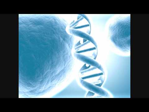 Paul Webster feat. Amanda - Time (Sean Tyas Remix)