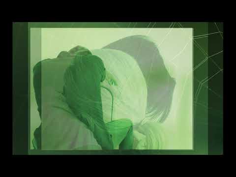 Millenium - The Web Part III: Who can bring them back to life? (Official Lyric Video)