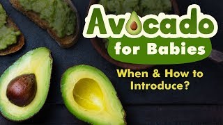 Introducing Avocado to Babies - When, Why and How?