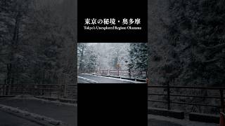 【絶対に教えたくない】東京にこんな絶景が？秘境•奥多摩の雪景色が美しすぎた Shot on ZV-E1 #travel #旅行 #奥多摩 #秘境 #絶景