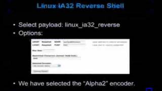 2006 BlackHat Vegas V14 Saumil Shah Metasploit Plugins2