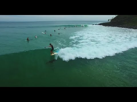 Iconic Aussie Waves - Noosa