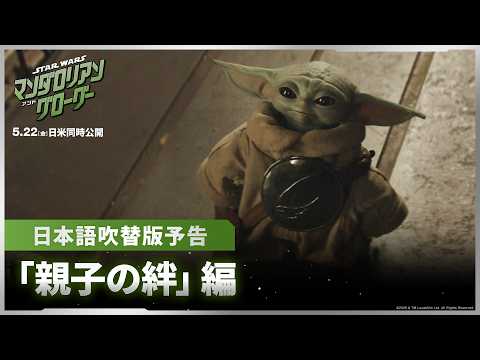 スター・ウォーズ/マンダロリアン＆グローグー Video5