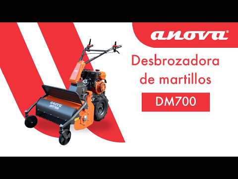 Vidéo