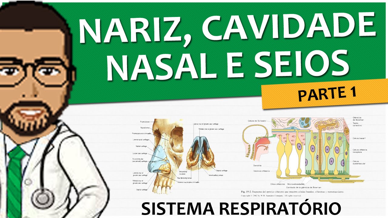 Sistema Respiratório 02 - Nariz, cavidade nasal e seios paranasais (Anatomia e Histologia) P1