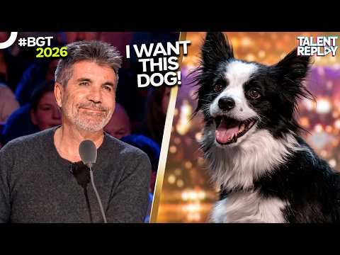 Inspirational Dog Story