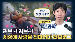 러브버그가 익충이었다고? 러브버그가 우리 몰래 지구를 위해서 하는 일들 [와이언스] / YTN 사이언스