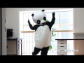 Meg - Ni Hao, Panda!