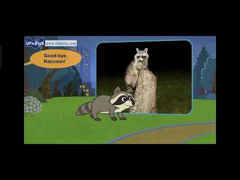 Meet the Animals: Raccoon vs Skunk