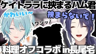 【ケイトララ】ハム君（飼い犬）がたくさん登場する料理オフコラボ【長尾景/渚トラウト/にじさんじ切り抜き】