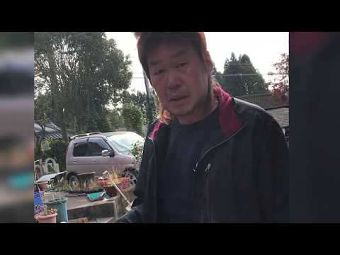 ER 34 Skyline Painting of Lip Spoiler | Self-flowing Paint