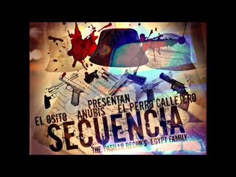 El Perro Callejero Ft Anubis  el Osito   Secuencia