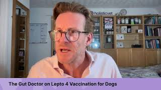 The Gut Doctor Discusses Lepto 4 Vaccination in Dogs
