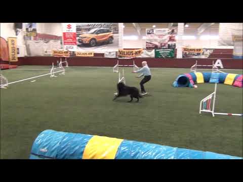 ORSZÁGOS AGILITY BAJNOKSÁG 2020.10.17-18 - Csapat váltó jumping és agility 5. hely összetett