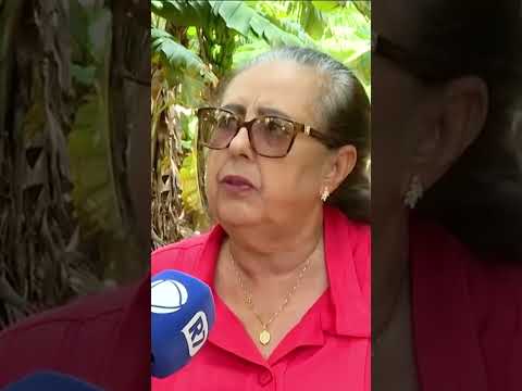 Banana goiana ganha mercado e fortalece a economia em Goiás #premios #banana #rural