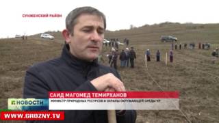 В Серноводске прошла масштабная акция по посадке саженцев 