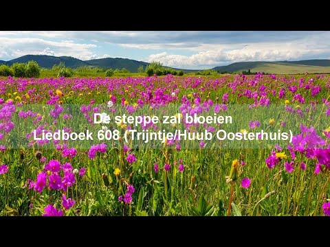 Liedboek 608: De steppe zal boeien (Met tekst in beeld)