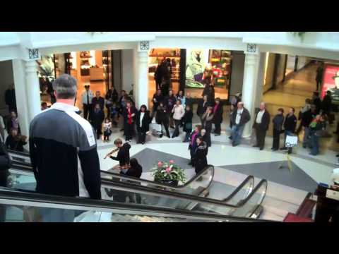An Orchestra Hit-and-Run at the Fashion Mall