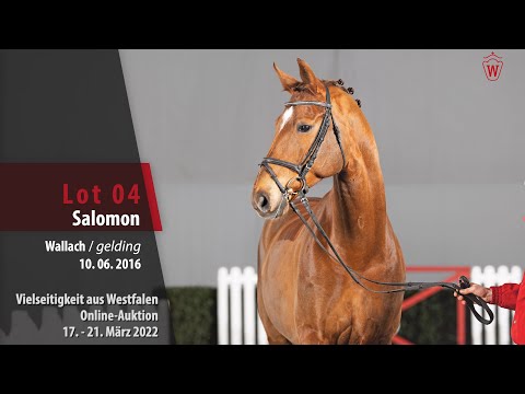 Vielseitigkeit Online-Auktion Lot 4 Salomon Wallach v. Sweet Hero - Langata Express xx