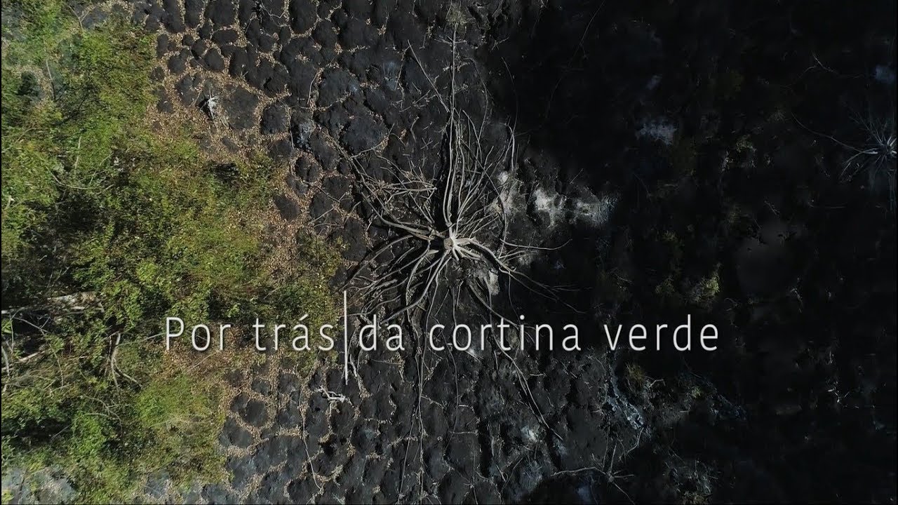 Por trás da cortina verde