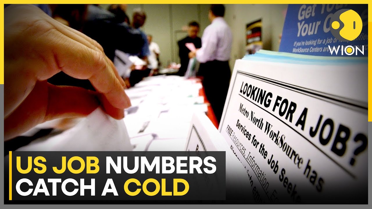 US Unemployment Hits 4-Year High at 4.6%, Highest Since 2021 | WION