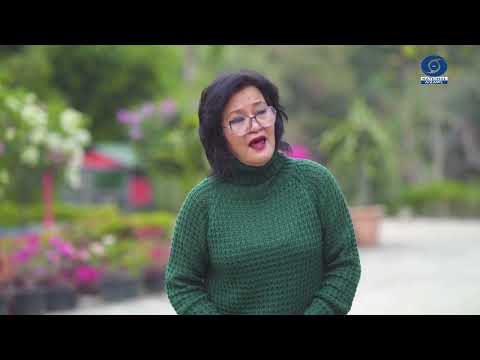 LALHUNGCHHUNGI PACHUAU | TAH A TUL LEH THIN