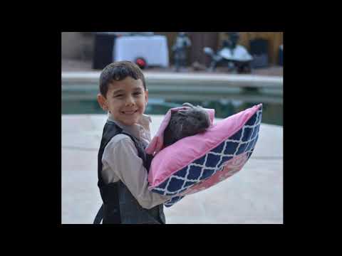 KIDS PARTY PHOTOGRAPHY