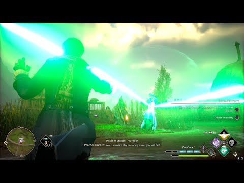 Using Avada Kedavra On Infamous Foes - Hogwarts Legacy