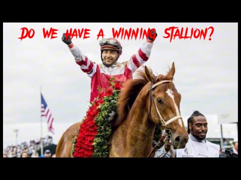 Pinhook Vertical Series 8 Year Cask Strength! Do we have a winner? #whiskeytube #bourbonreviews