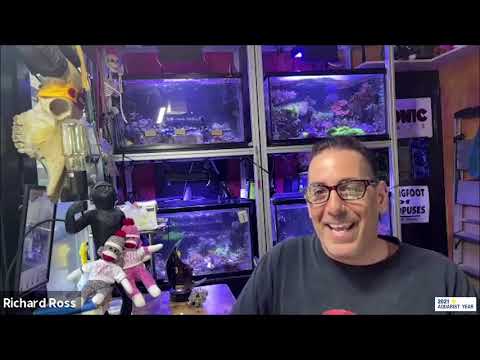 MASNA 2021 Aquarist of the Year, Kathy Leahy - MACNA 2021