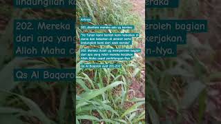 Download lagu rumput hujan kemarau & doa sapu jagat,doa kebaikan dunia akhirat #shorts #alam #dzikir #doa #bahagia mp3 Download lagu rumput hujan kemarau & doa sapu jagat,doa kebaikan dunia akhirat #shorts #alam #dzikir #doa #bahagia mp3