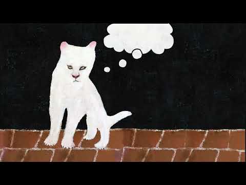 Duster - Summer War (HD Visualiser)