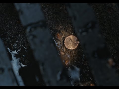 Money Is Happier When It’s Digital | Hybrid Brand Film | Coinbase