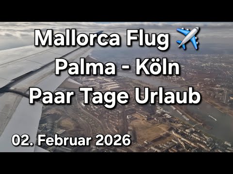 🌴Playa de Palma Kompakt - 🥳Tag & Nacht am Ballermann |♥️Mallorca VLOG 02. Februar 2026