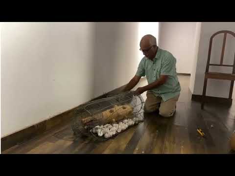 Debasish Bhattacharyya on his exhibited artworks on Art of Bengal Today