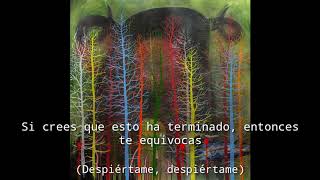 Radiohead - Separator (Subtítulos en español)