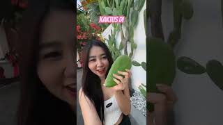 Download lagu NYOBAIN KAKTUS LAGI !! ENAK GAK YAA ?! mp3