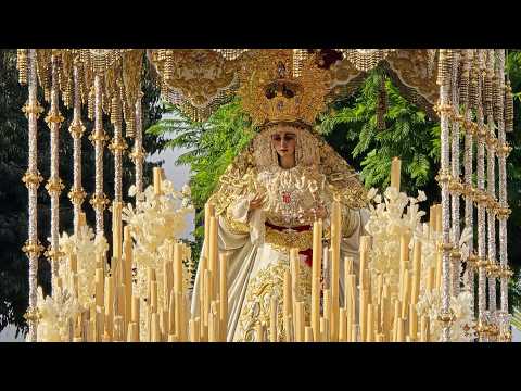 Salida Extraordinaria | Santa María de la Merced | Hermandad de la Merced | Córdoba 2026.
