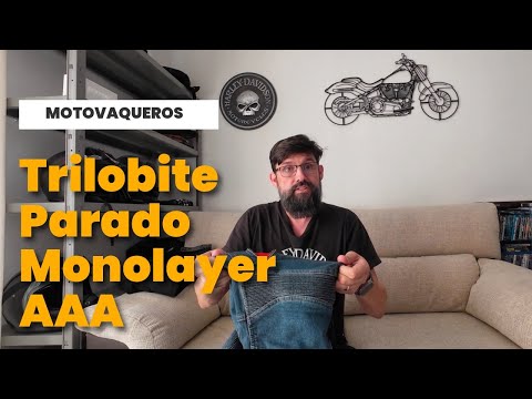 Motovaqueros: Trilobite Parado AAA Monolayer, Shima Devon y Racered | Opinión