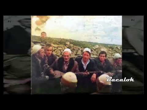 Salih Bajrami & Ali Ramadani  -  Kenge arshikie