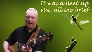 Dragonfly (Fleetwood Mac cover)