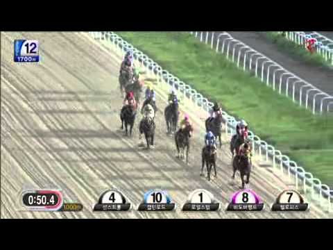 19th Djordje Perovic and Yaho Sunshine c3 1700m, Seoul 8.8.2015