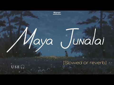 Superhit Nepali Lofi Song | Maya Junalai | @bekcha_ft@Trishala_Gurung