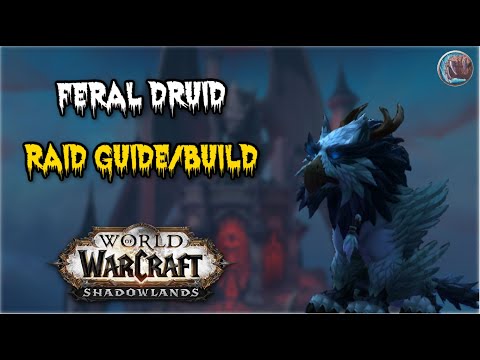 Feral Druid Raid Guide/Build For Shadowlands 9.0.2