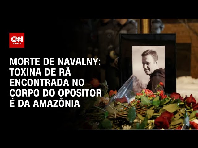 Navalny foi envenenado por toxina de rã em prisão, dizem europeus | AGORA CNN