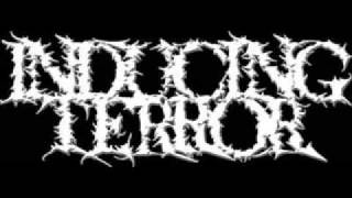 Inducing Terror - Overtaker