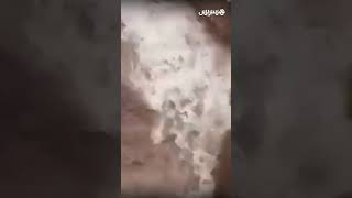 أمطار غزيرة تتسبب في فيضانات بفالنسيا في إسبانيا وتخلف 51 قتيلا thumbnail