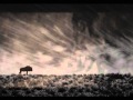 Backworld - The Lamp And The Lion 